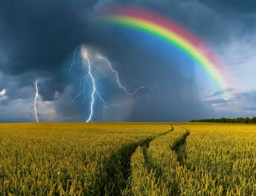 Onderzoek fiscale klimaat- en calamiteitenreserve land- en tuinbouw
